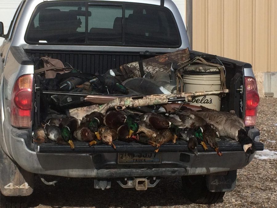 CLEAN+UP%3A+After+a+fun+day+of+duck+hunting%2C+having+to+the+birds+can+ruin+a+perfect+morning.