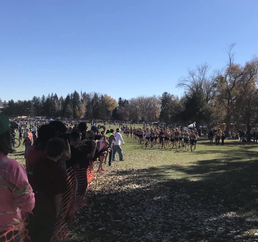FOR+ALL+THE+MARBLES%3A+Runners+work+their+way+through+the+start+loop+at+the+Veterans+Affairs+Hospital+in+Sheridan+during+the+2018+WHSAA+state+cross+country+meet.+