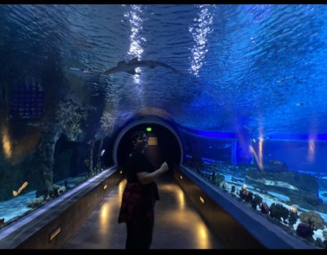 Science Student Visit Loveland Living Planet Aquarium