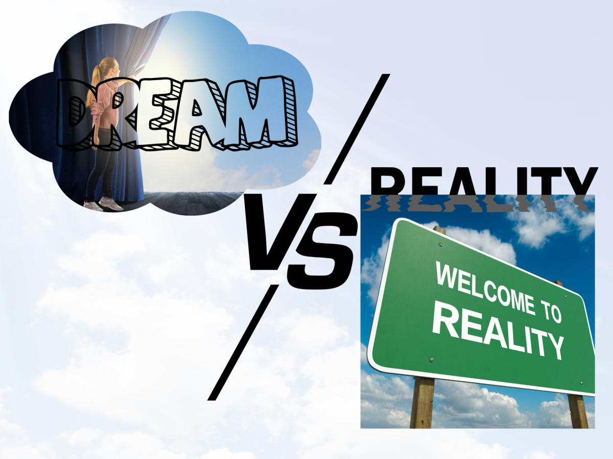 Summer Break: Dreams vs Reality