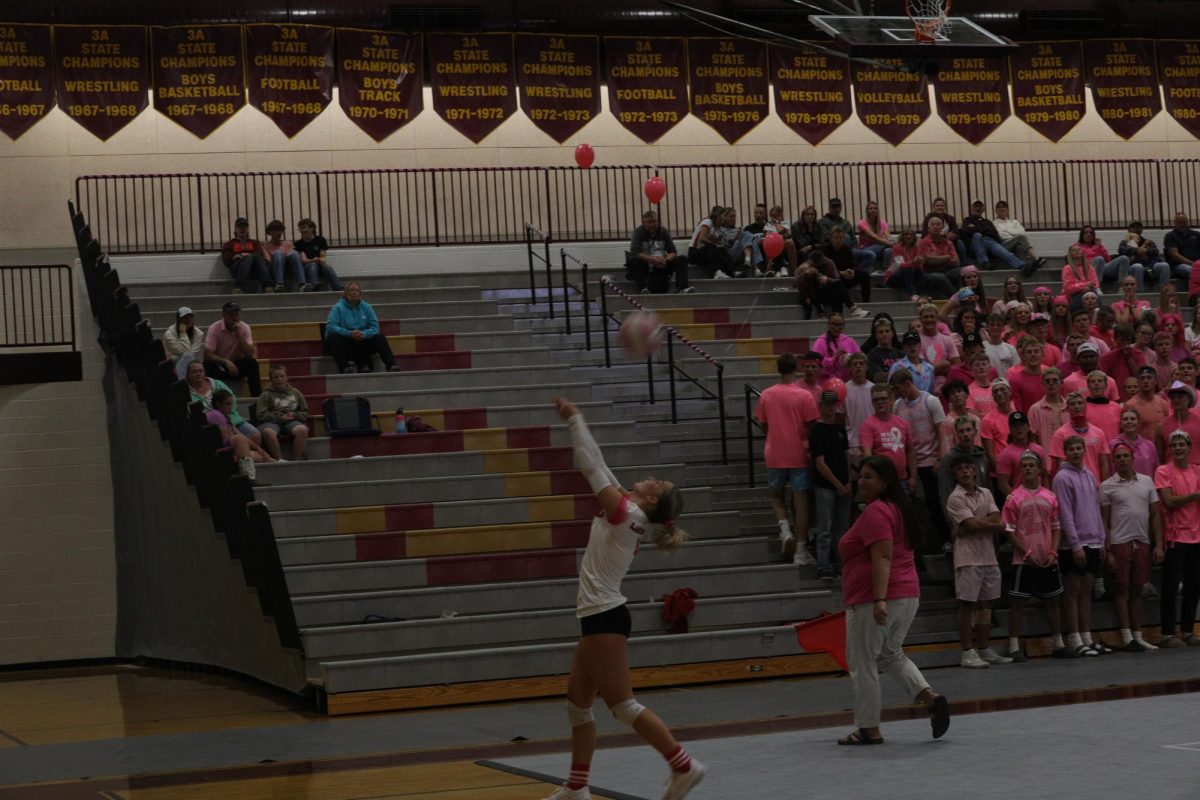 Lady Braves Pink Night vs Preston Indians 
