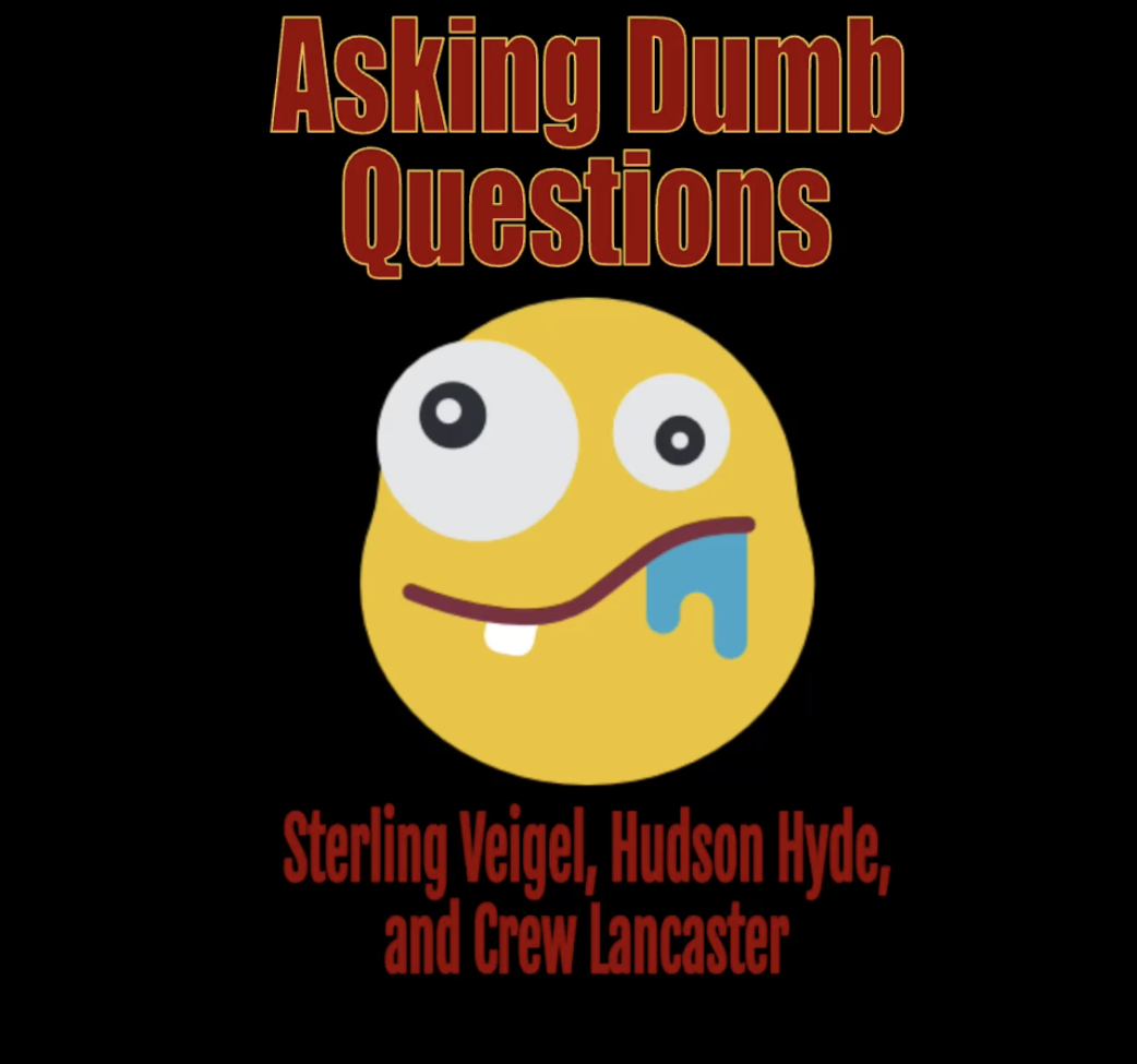 Asking Dumb Questions