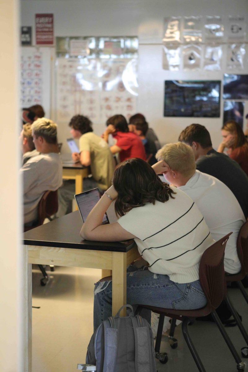 Focused but stressed.
Students work quietly during class while completing assignments on their laptops. Academic pressure, grades, and planning for the future are some of the most common things high school students say they worry about.